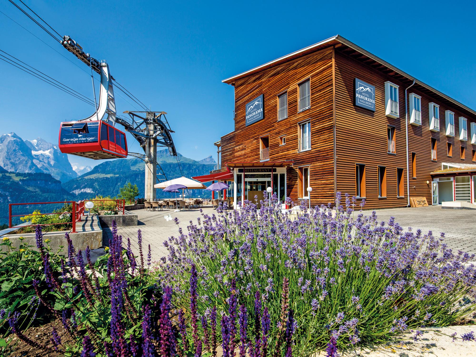 hotel_panorama_zomer_start
